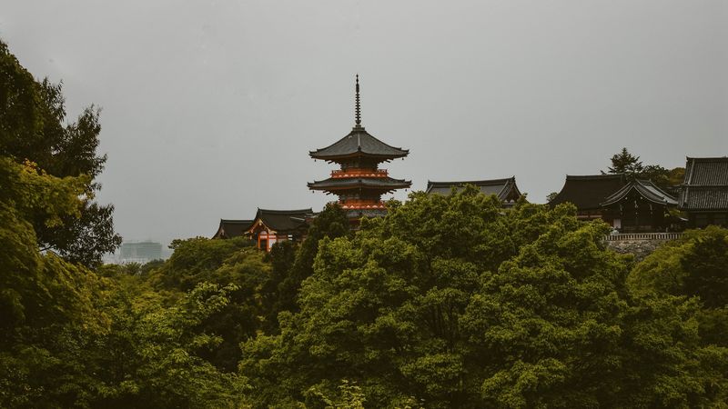 pagoda, trees, architecture, kyoto prefecture, japan, 4k