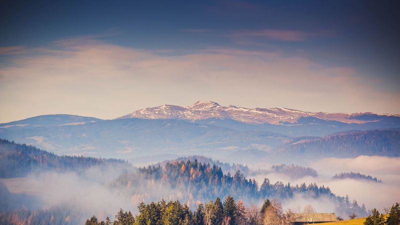 forest, mountains, fog, nature, 4k