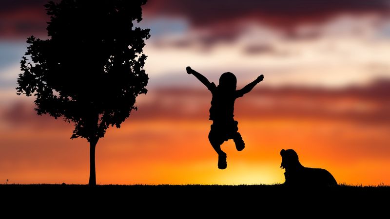 child, silhouette, jump, happiness, dog, sunset, 4k