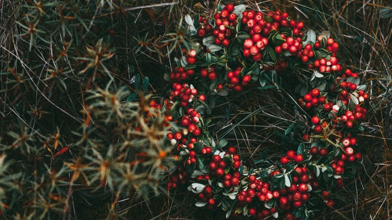 wreath, berries, grass, blur, 4k