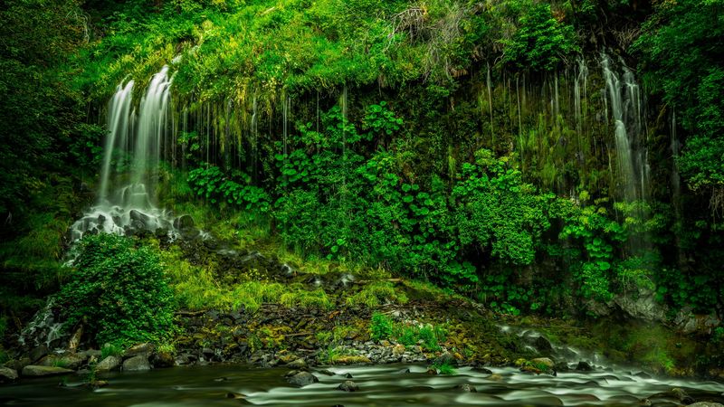 waterfall, vegetation, grass, mossbrae falls, california, 4k
