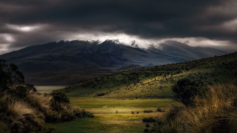 mountains, fog, clouds, top, grass, landscape, 4k