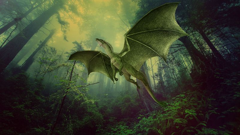 dragon, forest, fog, flight, photoshop, 4k