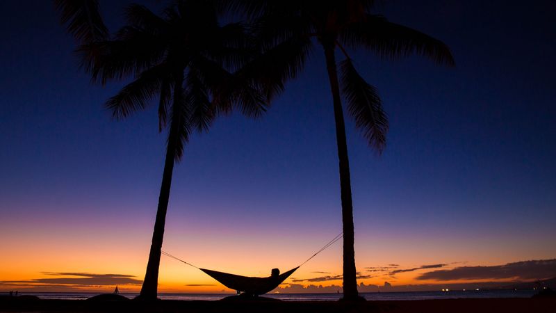 palms, hammock, night, silhouettes, rest, tropics, 4k
