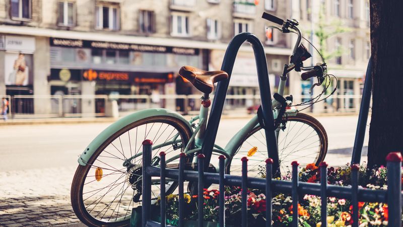 bicycle, vintage, flower bed, fence, 4k