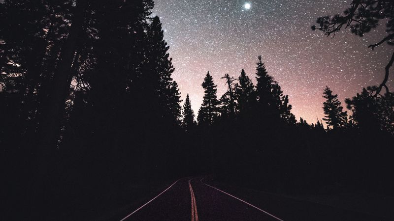 road, starry sky, night, trees, marking, 4k