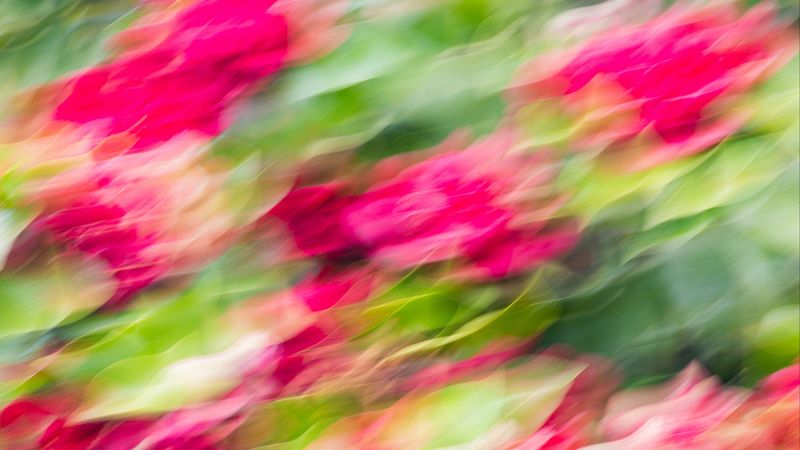 blurry, muddy, abstraction, 4k