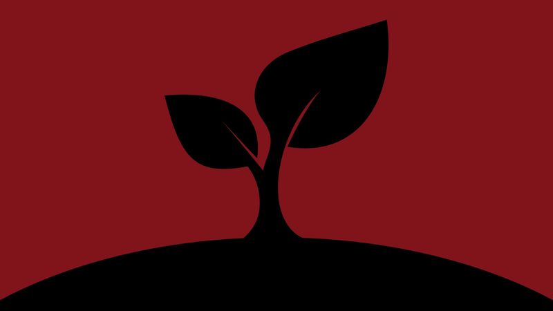 leaf, art, dark, vector, minimalism, 4k