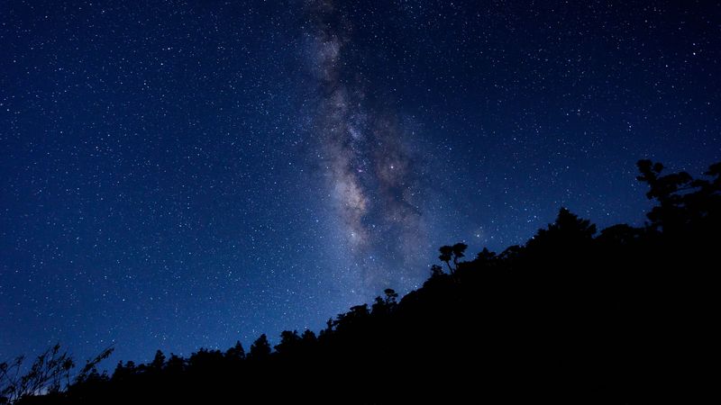 milky way, starry sky, trees, 4k