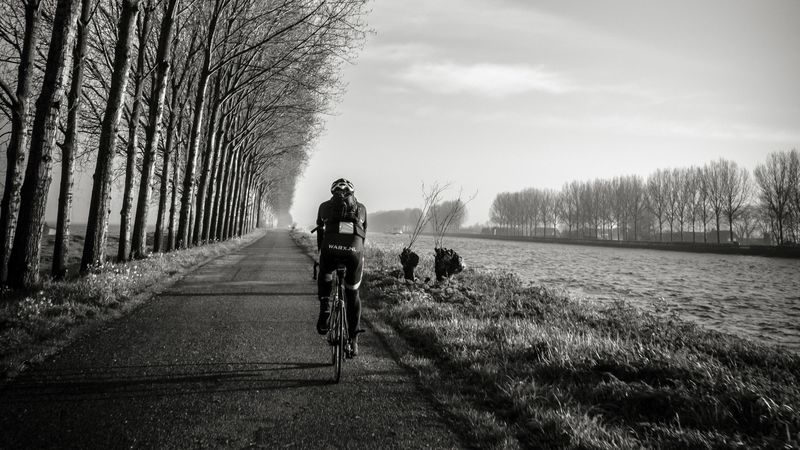 bicyclist, bw, trees, road, traffic, 4k