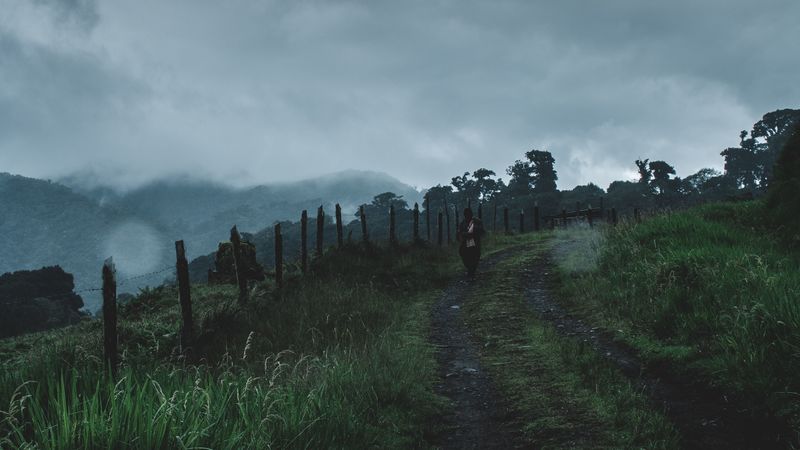 path, descent, man, fog, loneliness, los naranjos, panama, 4k