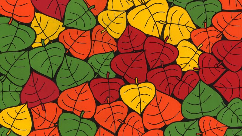 leaves, art, colorful, autumn, collage, 4k