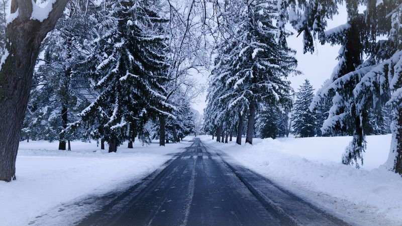 winter, road, snow, trees, winter landscape, 4k