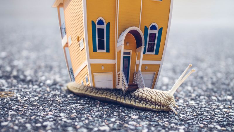 snail, house, photoshop, 4k