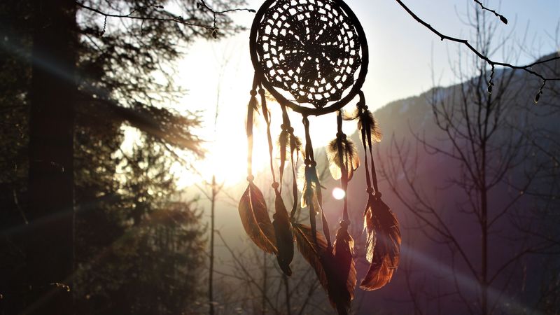 dreamcatcher, branches, sunlight, 4k