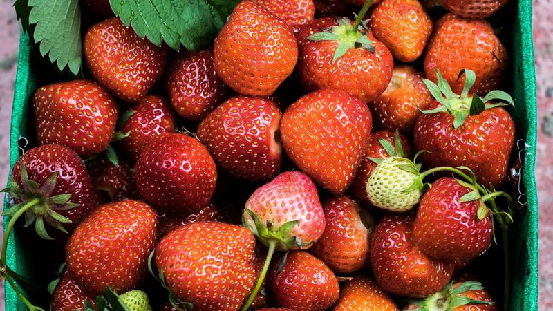 strawberries, berries, ripe, summer, 4k