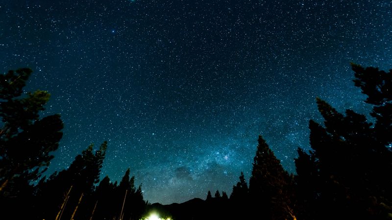 starry sky, night, stars, forest, nebula, 4k