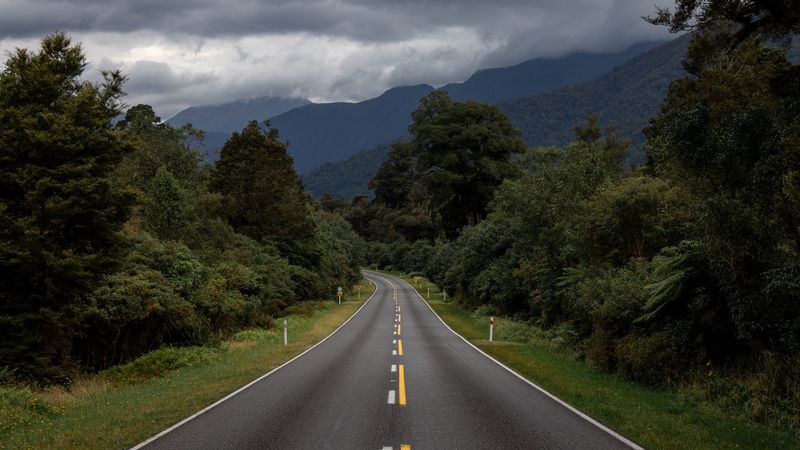 road, bushes, marking, 4k