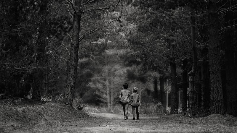 children, forest, friends, walk, bw, 4k