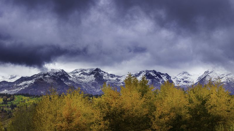 bushes, mountains, snowy, 4k