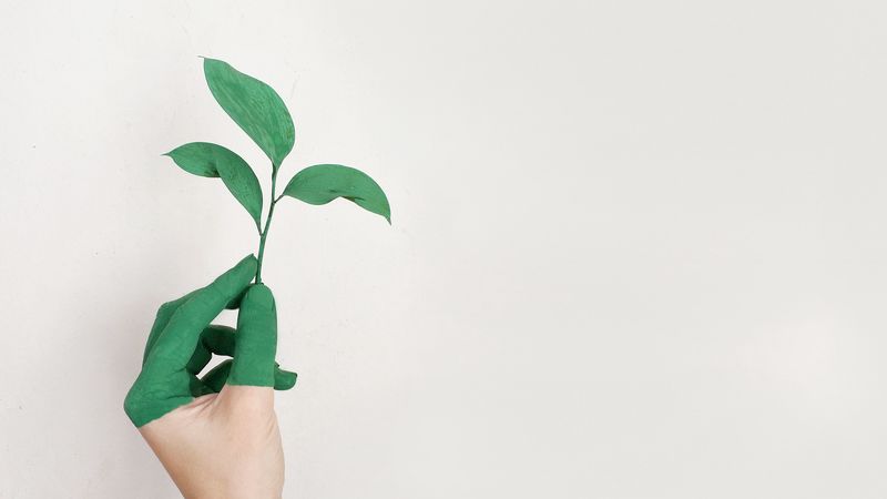hand, leaf, paint, green, white, minimalism, 4k