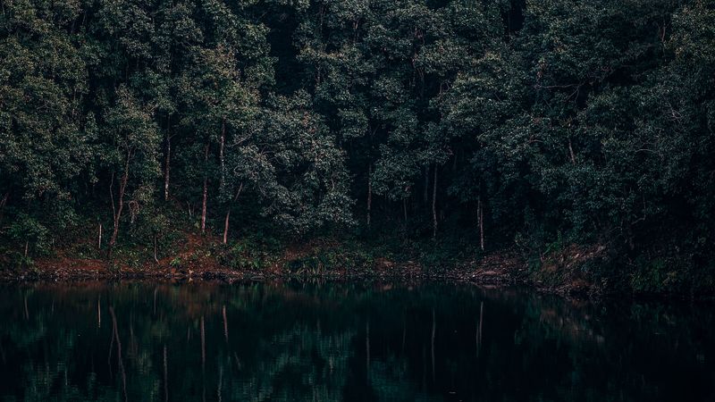 lake, trees, forest, reflection, begnas, lekhnath, nepal, 4k