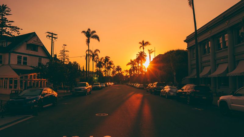 street, sunset, palm trees, road, road signs, cars, 4k