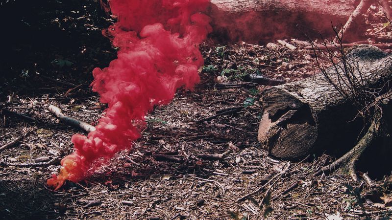 smoke, red, branches, autumn, 4k