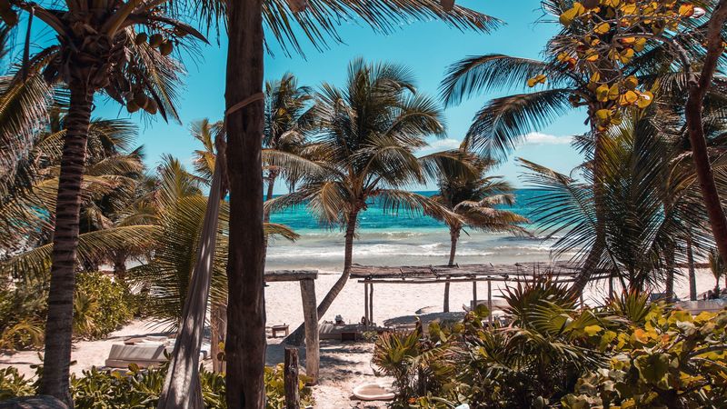 beach, palms, summer, tropics, rest, 4k