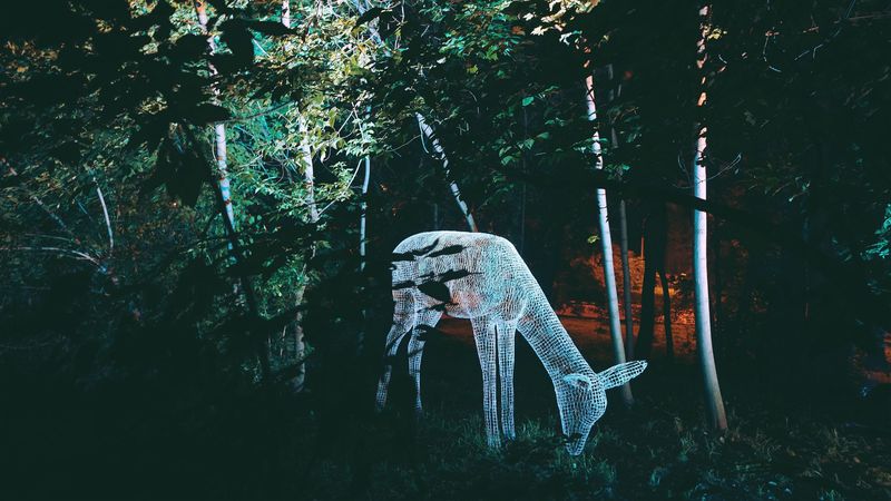 sculpture, light, trees, deer, art, 4k