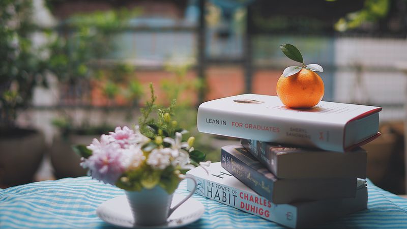 mandarin, books, table, reading, light, 4k