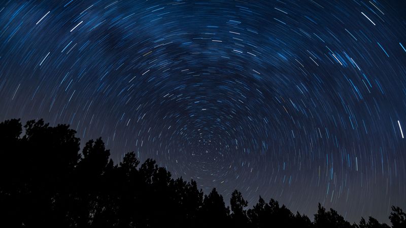 twisting, starry sky, trees, 4k