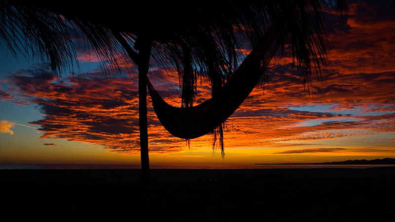 hammock, palm tree, sunset, clouds, 4k