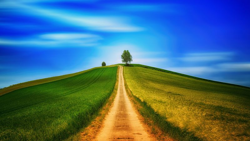 field, grass, summer, road, sky, hill, 4k