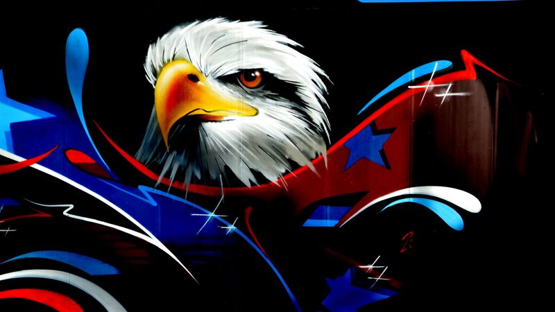 eagle, art, graffiti, wall, 4k