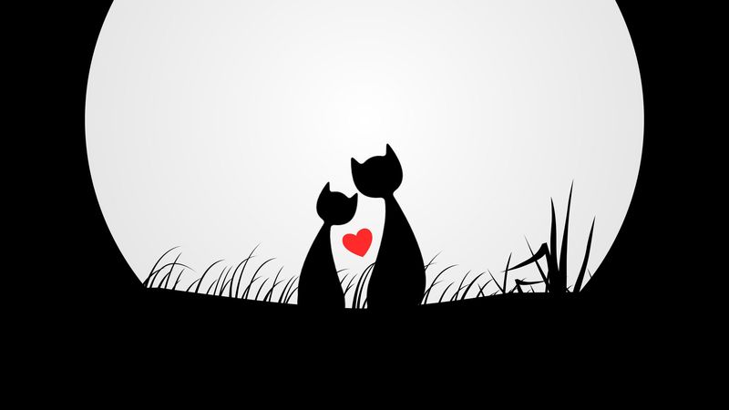 cats, love, silhouettes, night, moon, 4k