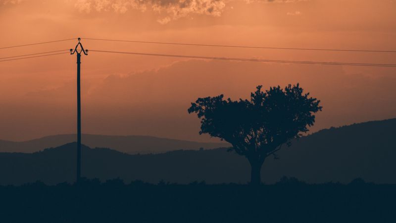 tree, sunset, column, wires, 4k