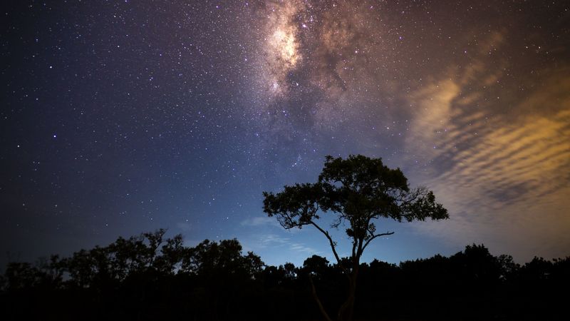 starry sky, tree, milky way, radiance, 4k