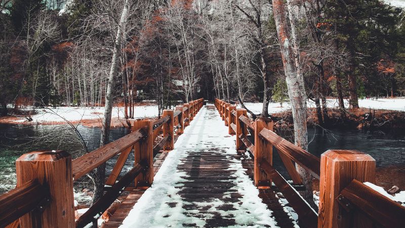 bridge, snow, winter, trees, spring, 4k