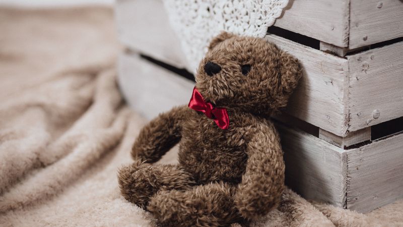 teddy bear, toy, bow, 4k