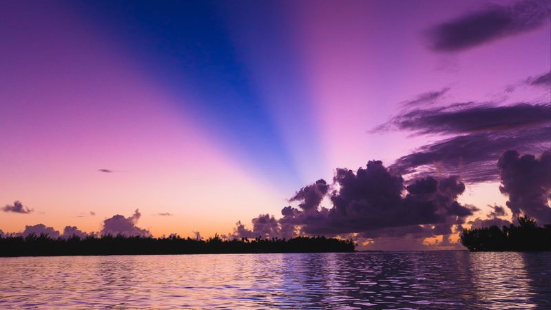 sea, trees, sunset, sky, 4k
