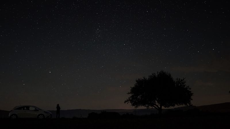 starry sky, tree, night, sky, 4k