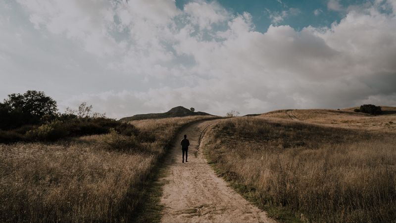 path, grass, man, walk, clouds, 4k