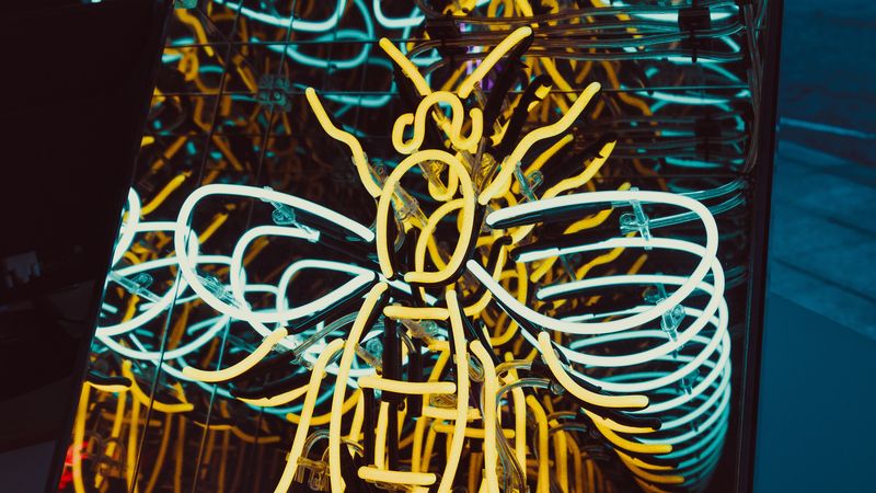 bee, neon, light, form, 4k