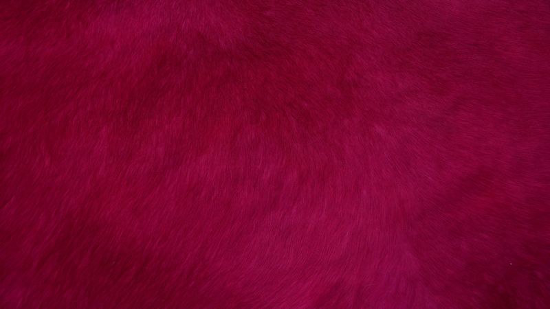 fur, texture, red, surface, 4k