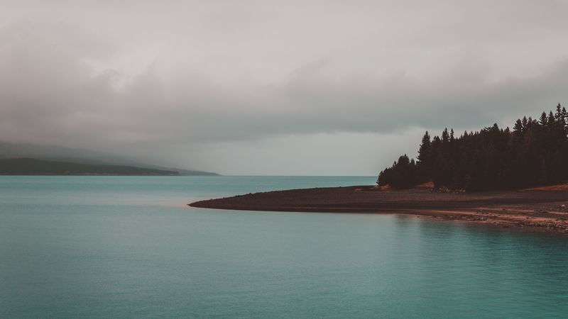 shore, trees, sea, 4k