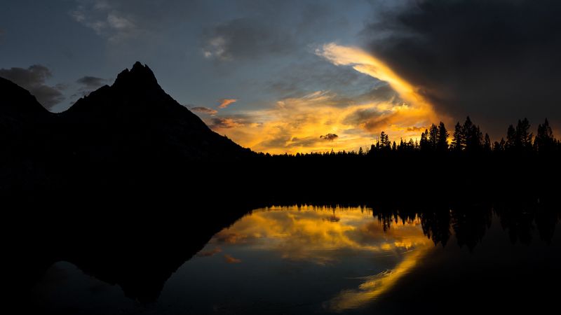 trees, night, sunset, river, 4k