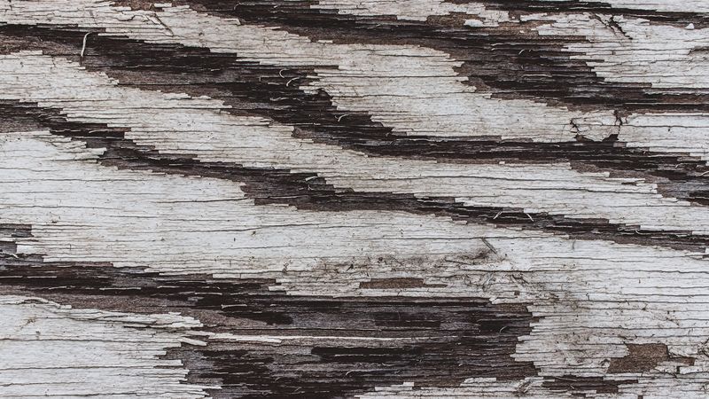 texture, wood, paint, 4k