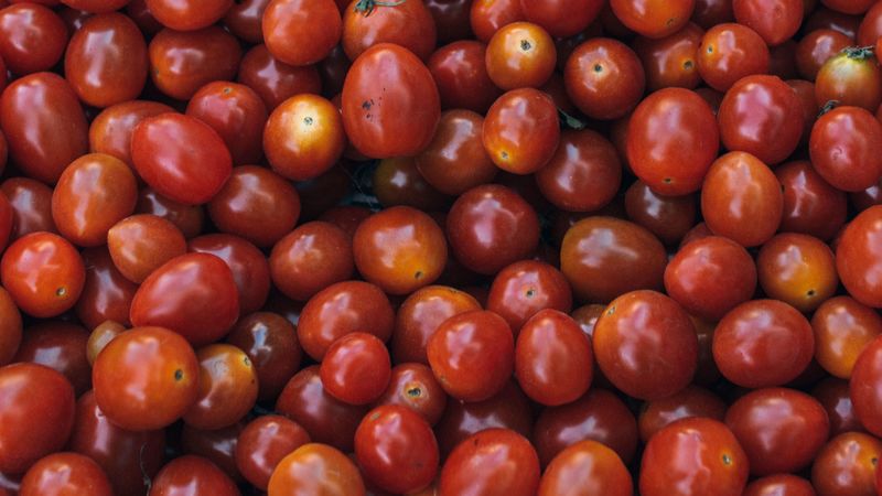 tomatoes, ripe, vegetables, 4k