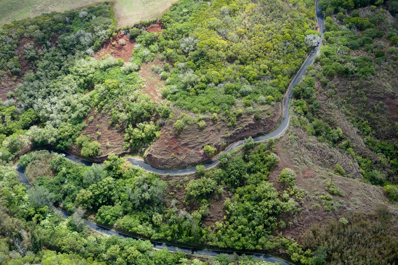 a drone shot of a winding road along a wooded red rock slope, winding road on red rock 4k